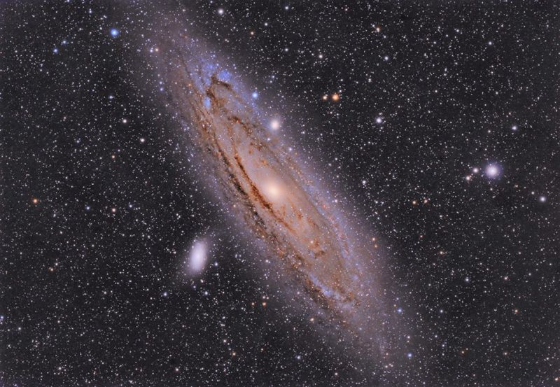 M31