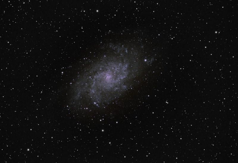 M33